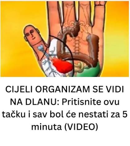 v n