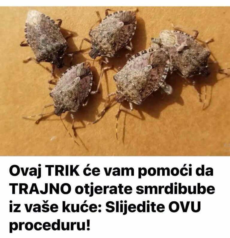 OVAJ TRIK ĆE VAM POMOŽI DA SE TRAJNO RIJEŠITE SMRDIBUBA - featured image