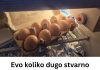 Evo koliko dugo stvarno možete čuvati jaja u frižideru – odgovor će vas iznenaditi! - featured image