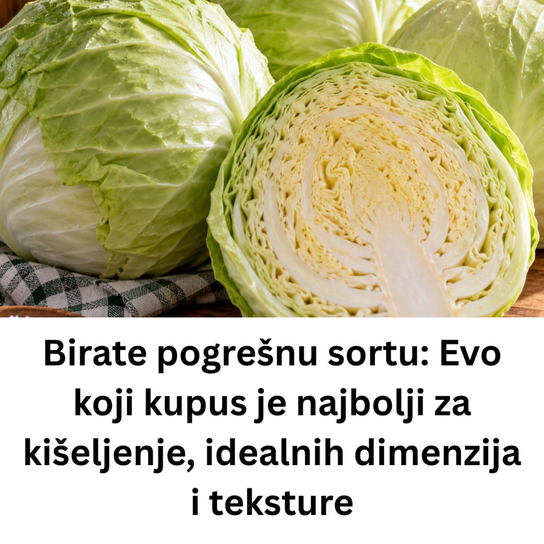 Birate pogrešnu sortu: Evo koji kupus je najbolji za kišeljenje, idealnih dimenzija i teksture - featured image