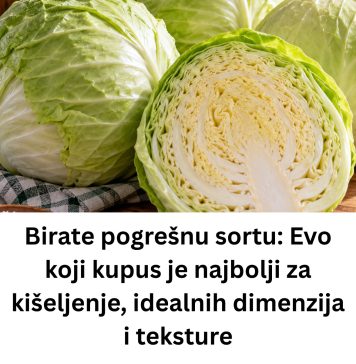 Birate pogrešnu sortu: Evo koji kupus je najbolji za kišeljenje, idealnih dimenzija i teksture - featured image