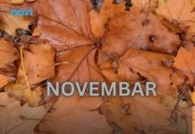 Od novembra kreće njihovo zlatno doba: 3 znaka ulaze u period kakav se čeka cijeli život