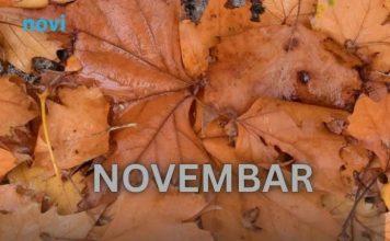 Od novembra kreće njihovo zlatno doba: 3 znaka ulaze u period kakav se čeka cijeli život