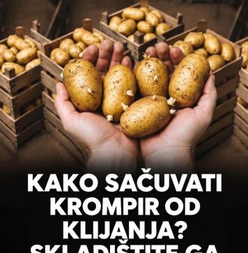 Kako sačuvati krompir 0d klijanja? Skladištite ga na ovaj način !