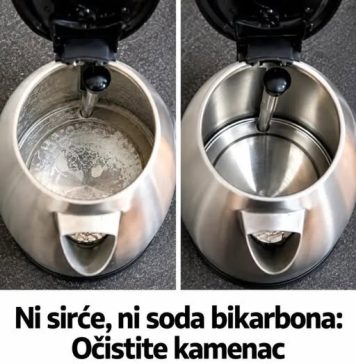Ni sirće, ni soda bikarbona: Očistite kamenac iz kuhala za vodu uz ovu namirnicu