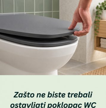 Zašto ne biste trebali ostavljati poklopac WC školjke otvoren – zapamtite doživotno Zašto ne biste trebali ostavljati poklopac WC školjke otvoren – zapamtite doživotno - featured image