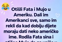VIC DANA: Fata i Mujo u Americi - featured image