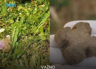 Upozorenje građanima: Više od milion paketića past će s neba, ne smijete ih dirati golim rukama - featured image